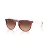 Ray-Ban Erika RB 4171 6815A5 54 Menekşe-Kahverengi Unisex Güneş Gözlüğü
