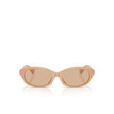Ray-Ban Explorer V RB3845 Geometrik Gri Unisex Polarize Güneş Gözlüğü