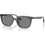 Ray-Ban Güneş Gözlüğü RB4439D 667587 54 mm Gri Renkli Erkekler İçin Hafif Tasarım ve Organik Cam