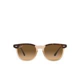 Ray-Ban Hawkeye RB2298 Kare Kahve Polarize Unisex Güneş Gözlüğü