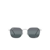 Ray-Ban Jim RB3694 Geometrik Metal Polarize Unisex Güneş Gözlüğü