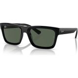 Ray-Ban Kadın Güneş Gözlüğü 4396 667771 54 Siyah Asetat Çerçeve UV 400 Filtreli Yeşil Cam
