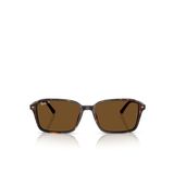 Ray-Ban Raimond RB2231 Köşeli Kahve Unisex Polarize Güneş Gözlüğü