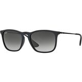 Ray-Ban Rayban RB4187 622/8G Erkek Güneş Gözlüğü Siyah Çerçeve İle Yüksek Koruma Ve Estetik Tasarım