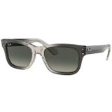 Ray-Ban Rb 2283 134071 52 Unisex Güneş Gözlüğü