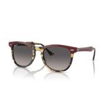 Ray-Ban RB 2398 1377M3 53 Ray-Ban EAGLEEYE Polarize Güneş Gözlüğü