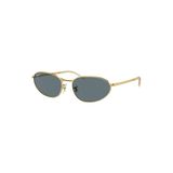 Ray-Ban Rb 3734 001 / 3R 56 Polarize Unisex Güneş Gözlüğü