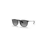 Ray-Ban RB 4171 622T3 54 Erika Polarize Unisex Güneş Gözlüğü