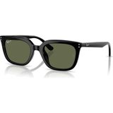 Ray-Ban Rb 4439D 901/9A Polarıze Güneş Gözlüğü - Siyah