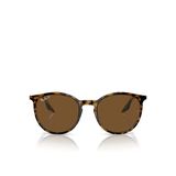 Ray-Ban RB2204 Yuvarlak Kahve Unisex Polarize Güneş Gözlüğü