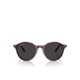 Ray-Ban RB2230 Yuvarlak Çok Renkli Unisex Polarize Güneş Gözlüğü