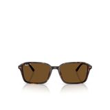 Ray-Ban RB2231 Köşeli Kahve Unisex Polarize Güneş Gözlüğü
