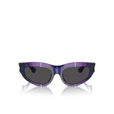 Ray-Ban RB2242 Wayfarer OvalSiyah Unisex Güneş Gözlüğü