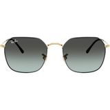 Ray-Ban RB3694 9271GK 53 Unisex Güneş Gözlüğü
