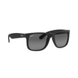 Ray-Ban RB4165 622 T3 54 16 Unisex Güneş Gözlüğü