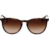 Ray-Ban RB4171 865/13 54-18 Erkek Güneş Gözlüğü