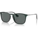 Ray-Ban RB4187 666381 54 Erkek Güneş Gözlüğü Metal Çerçeve Polarize Yeşil Cam ile Şıklık