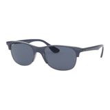 Ray-Ban RB4319 640780 55 Erkek Güneş Gözlüğü
