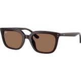 Ray-Ban RB4439D 6231 73 54 Kahverengi Unisex Güneş Gözlüğü
