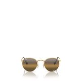 Ray-Ban Round Metal Chromance RB3447 Yuvarlak Altın Polarize Erkek Güneş Gözlüğü