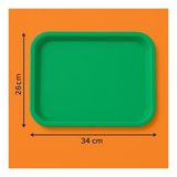 Ray Plastik 32X46CM Yeşil Servis ve Sunum Tepsisi