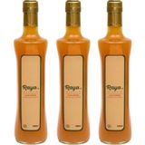 Raya Organik Organik Elma Sirkesi 500ML x 3 Adet - 500 ml
