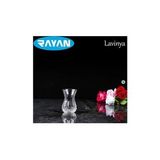 Rayan Lavinya Star 6Li Cay Bardagi