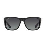 Rayban RB4165 622 T3 55 Erkek Güneş Gözlüğü