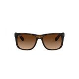 Rayban RB4165-710-13-54-16 Unisex Güneş Gözlüğü