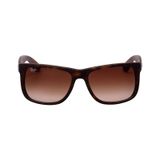 Rayban RB4165710135516145 Erkek Güneş Gözlüğü