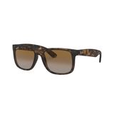 Rayban RB4165865-T555 Erkek Güneş Gözlüğü