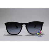 Rayban RB4187 622/8G Kadın Güneş Gözlüğü