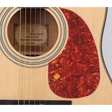 Raymond Joes PG101 Gitar Pena Korumalığı - Pickguard