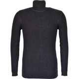 Raymons Erkek Spor Balıkçı Yaka Kazak R22897 BGL-ST03178 - Antrasit