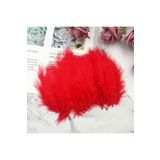 RAYTOYS OYUNCAK 100 ADET KIRMIZI KUŞ TÜYÜ DECOR VIP RED BIRD FEATHER KIRMIZI ŞEFFAF BALON TÜYÜ KIRMIZI SÜSLEME TÜYÜ KIRMIZI