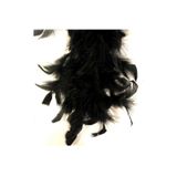 RAYTOYS OYUNCAK 100 Adet Siyah Kuş Tüyü Black Bırd Feather Siyah Şeffaf Balon Tüyü Dekoratik Siyah Süsleme Tüyü SİYAH
