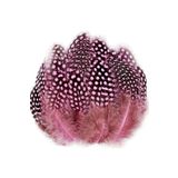 RAYTOYS OYUNCAK 100 PCS DECOR PİNK BIRD FEATHER 100 ADET PUANTİYELİ PEMBE SİYAH KUŞ TÜYÜ DEKOR PEMBE KUŞ TÜYÜ PEMBE