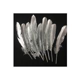 RAYTOYS OYUNCAK 10adet Metalik Parlak Gümüş Kuş Tüyü Gümüş Kuş Tüyü Decorsilver Bırd Feather Gümüş Şeffaf Balon Tüyü GÜMÜŞ