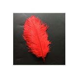RAYTOYS OYUNCAK 400 PCS DECOR RED BIRD FEATHER 400 ADET KIRMIZI TÜY KIRMIZI ŞEFFAF BALON TÜYÜ SÜSLEME TÜYÜ KIRMIZI