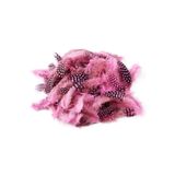 RAYTOYS OYUNCAK 50 Adet Puantiyeli Pembe Siyah Kuş Tüyü Pembe Kuş Tüyü Pink Bırd Feather Pembe Şeffaf Balon Tüyü PEMBE