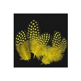 RAYTOYS OYUNCAK 50 Adet Puantiyeli Sarı Siyah Kuş Tüyü Sarı Kuş Tüyü Yellow Bırd Feather Sarı Şeffaf Balon Tüyü sarı