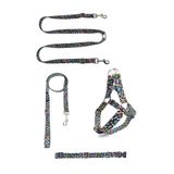 razar Pati Desen Eller Serbest Köpek Tasma Seti / Hands Free Tasma Seti / 4 Ürün