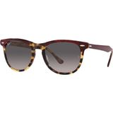 RB 2398 1377M3 53 Ray-Ban EAGLE EYE Polarize Güneş Gözlüğü