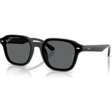 Rb 4458D 601/81 65 Ray-Ban Polarize Güneş Gözlüğü - Siyah