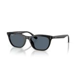 RB 4474D 901/2V 54 Ray-Ban Polarize Güneş Gözlüğü