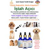 RB PHARMA Garlic Istah Açıcı Dog Köpekler Için Kısa Sürede Hızlı Sonuç Alın