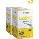 RC Farma Ligone Vitamin B12 30 Çiğneme Tablet x2 Adet
