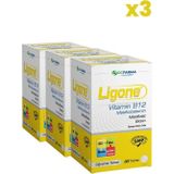 RC Farma Ligone Vitamin B12 30 Çiğneme Tablet x3 Adet