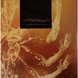 RCA Tool / Fear Inoculum (3LP) (PLAK)