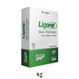 RCFARMA Ligone Saw Palmetto Cüce Palmiye Complex 60 Kapsül